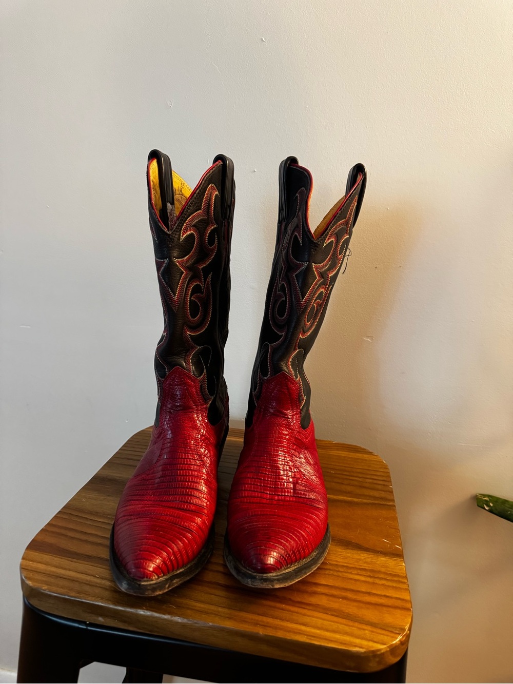 Nocona Boot Co. Teju Lizard boots